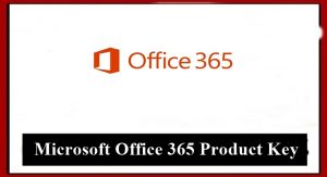 MS Office 365 Product Key
